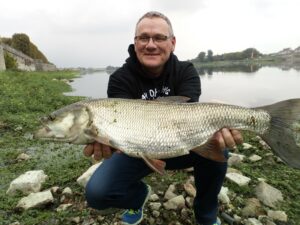 Bel aspe pris au leurre par un pêcheur