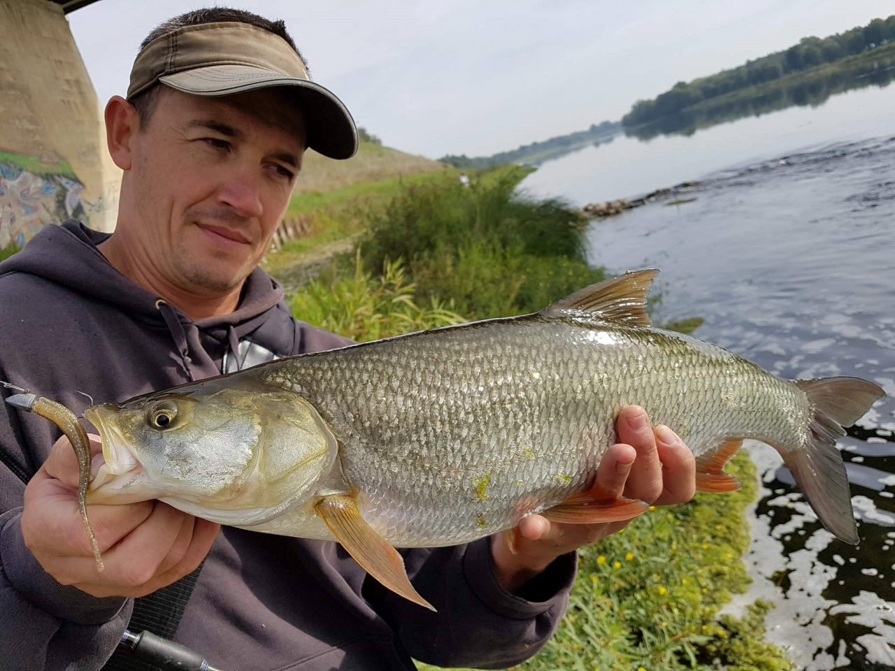 Photo 2 Un pêcheur au leurre tenant un aspe