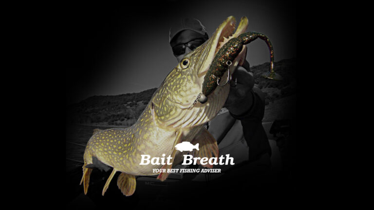 BAIT BREATH