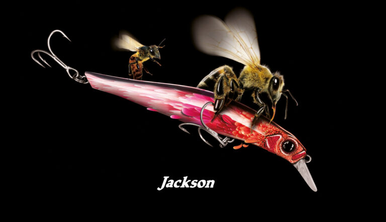 JACKSON