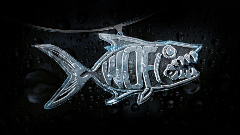 WAY OF FISHING