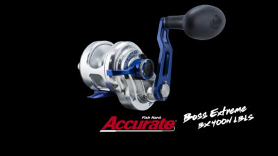 Accurate DÇtail Boss Extreme BX 400N LBLS