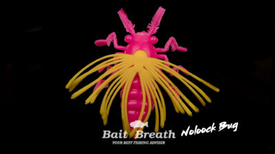 Bait Breath Détails Noloock Bug 1