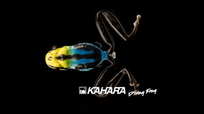Kahara Diving Frog 7