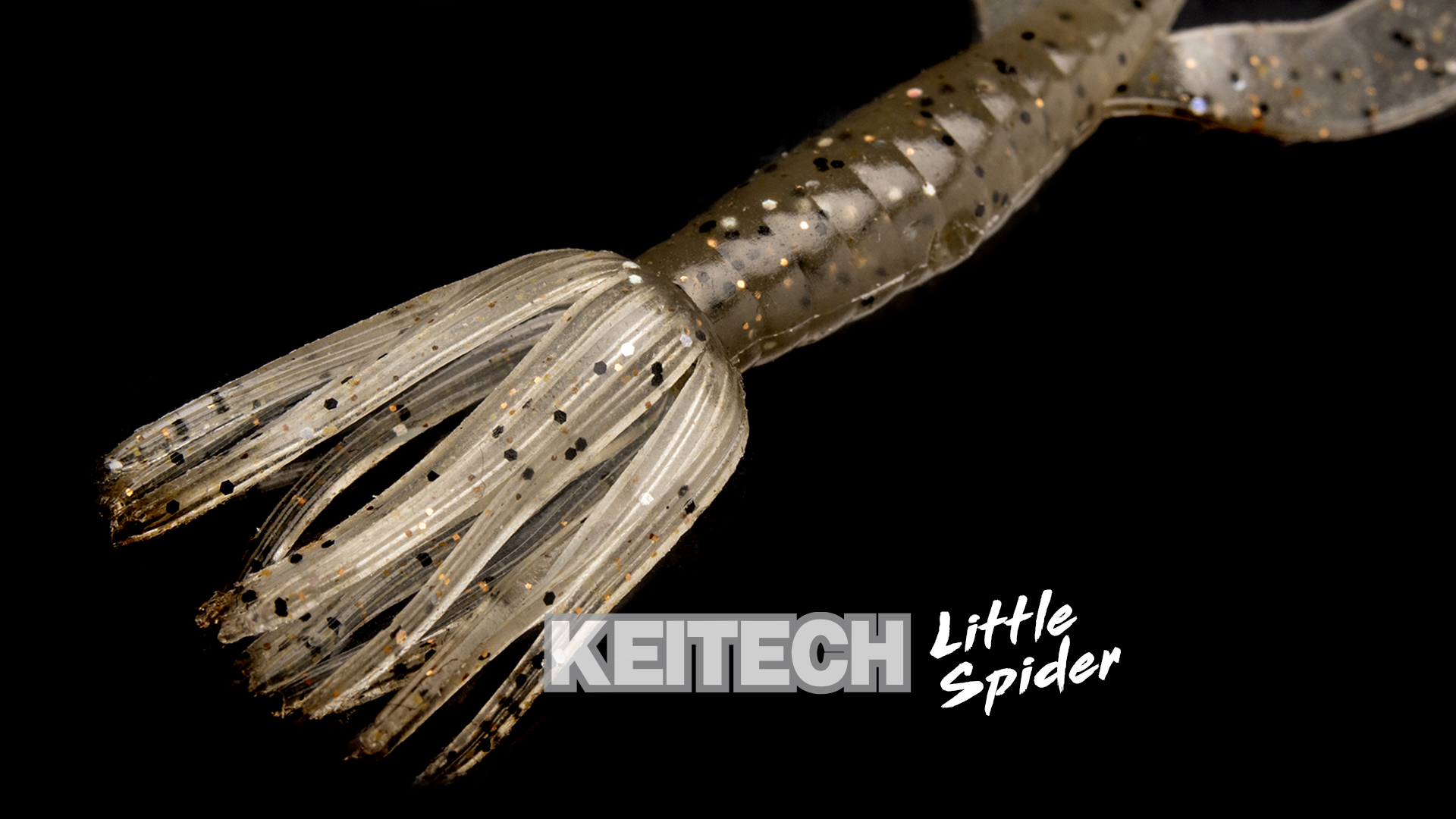 Little Spider – Way Of Fishing