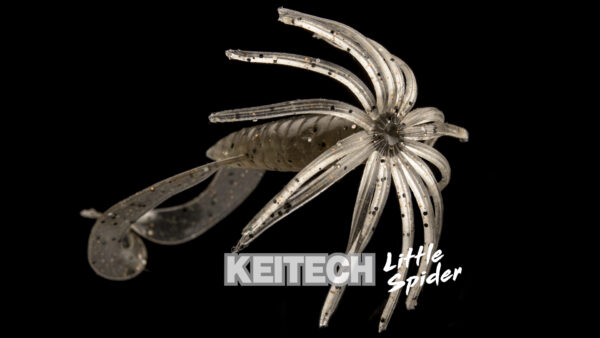 Little Spider – Image 4