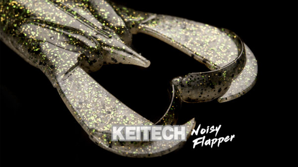 Noisy Flapper – Image 4