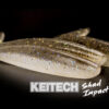 Shad Impact 3 – Image 4