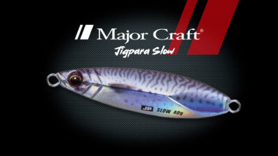 Major Craft Jigpara Slow Détail 1 bis (2)