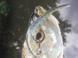 IMG_5031