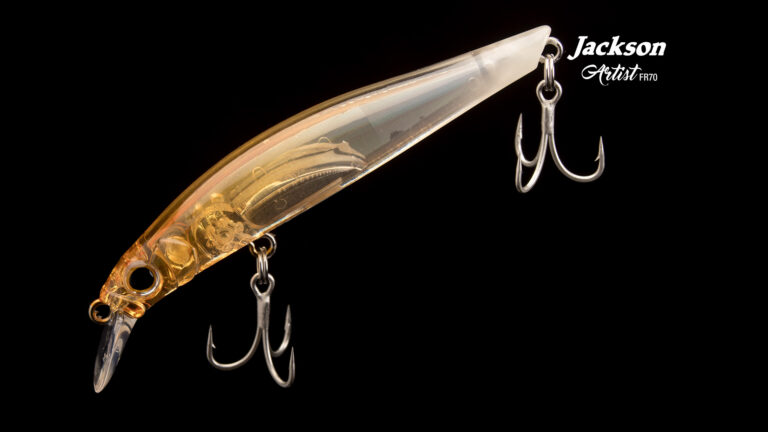 Jackson Artist FR70 Détail 5 Web