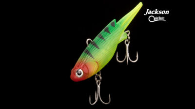 Jackson Quiet Beats Détail 5 Web