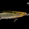 Ra Pop – Image 2