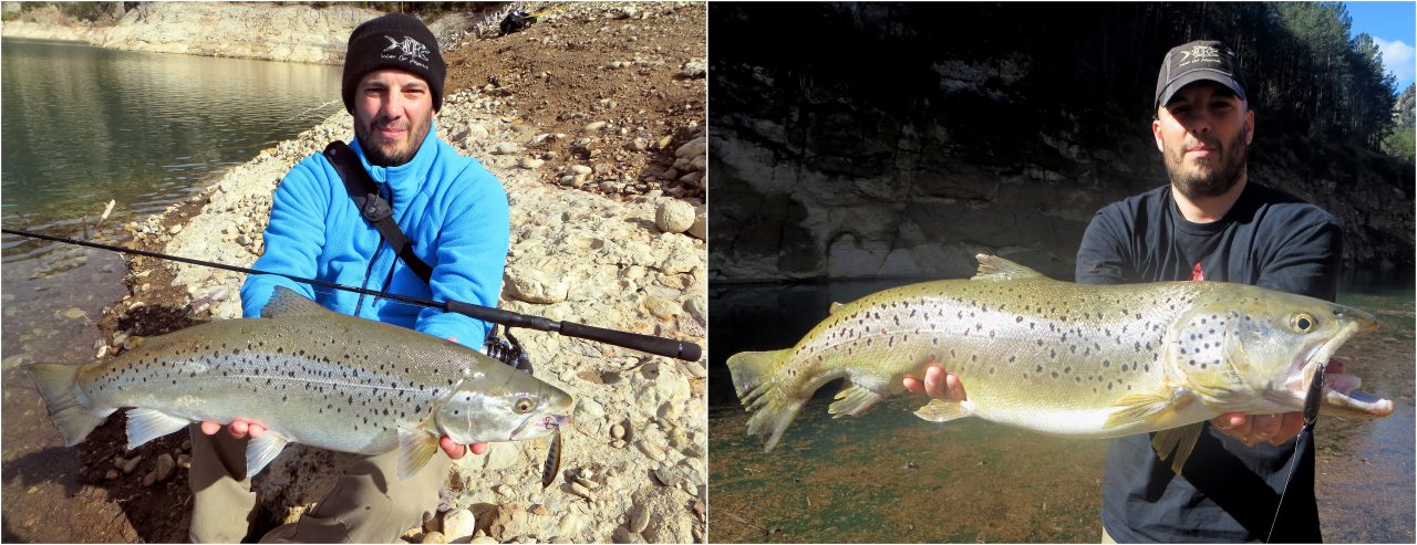 Truites de lac au Trout Tune 7 HW