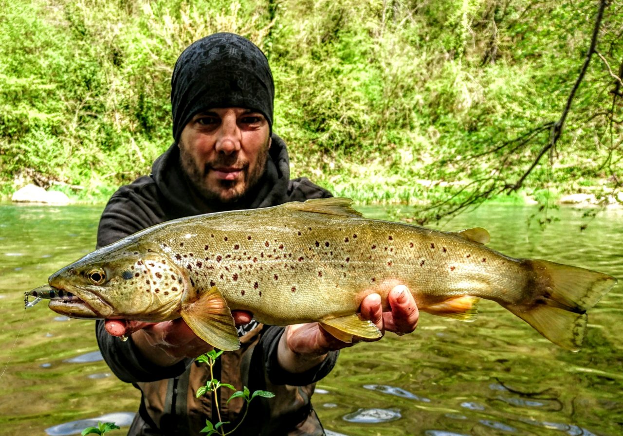 Une belle au Trout Tune 7 HW