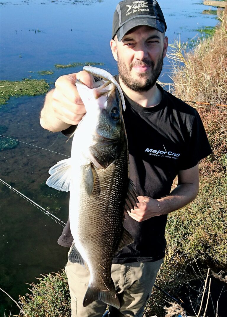 Keitech Shad Impact 5'