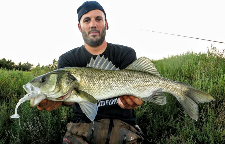 Bait Breath TT Shad 4.8