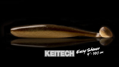 Keitech Easy Shiner 4,0 - 10,1 cm