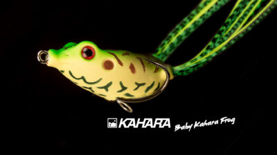 Kahara Baby Frog 6