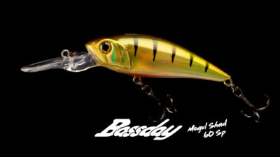 Bassday Détail Mogul Shad 60 SP 5