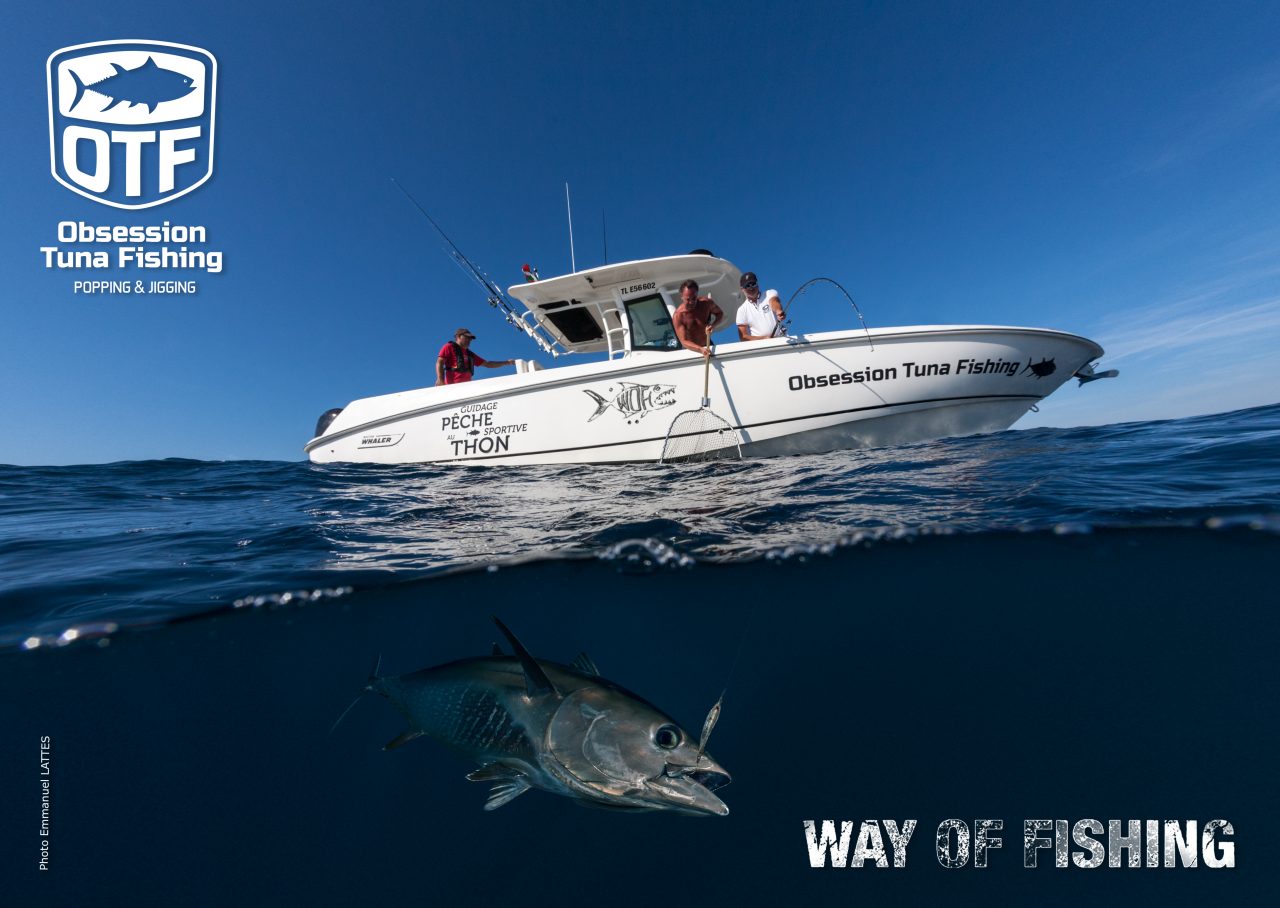 Pêche sportive au thon rouge (Thunnus thynnus) dans le Pays Bas