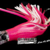 ALIEN XL RR – Image 3