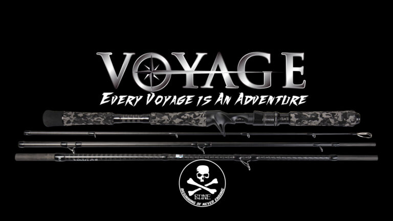 Voyage