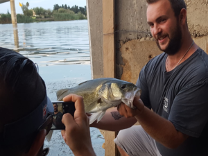 Les PHARES du coin - Delta Rhône - Pêche en Mer