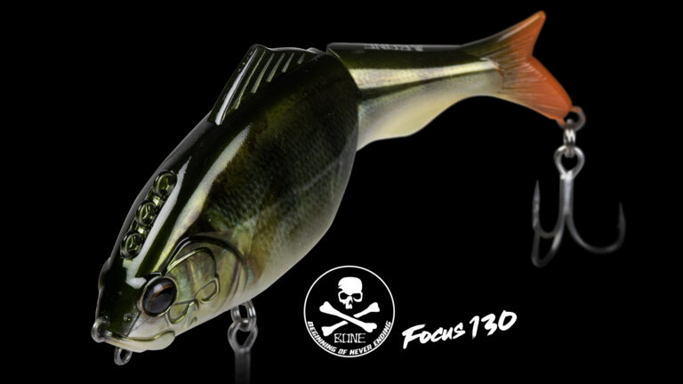 Bone Focus 130