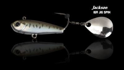 Jackson vignette 1 Iga Jig Spin