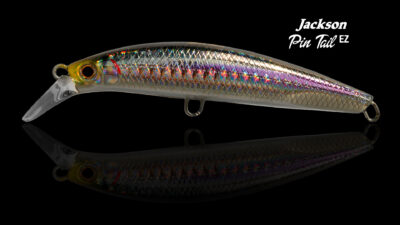 Jackson vignette 1 Pin Tail EZ