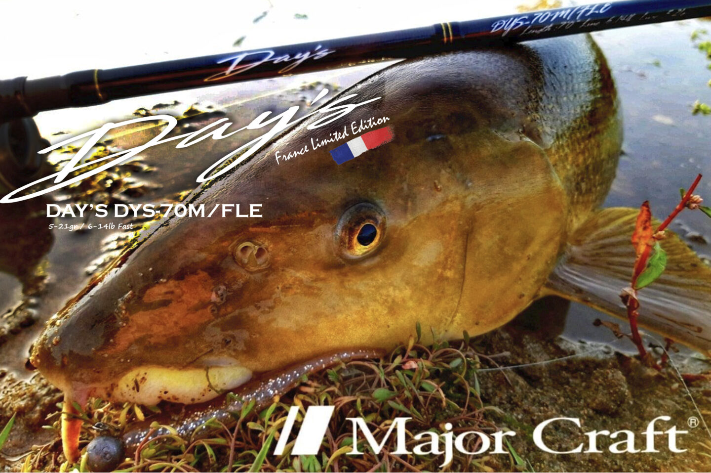 Day's major Craft Présentation DYS-70M-FLE