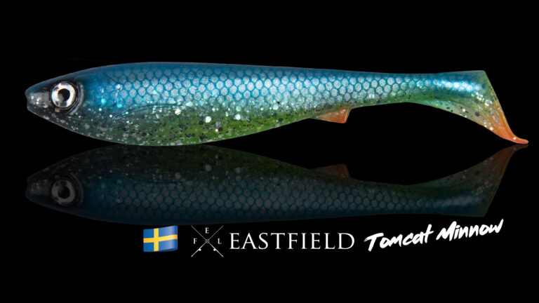 Tomcat Minnow