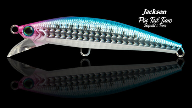 PINTAIL SAGOSHI TUNE