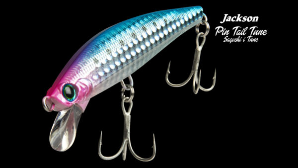 PINTAIL SAGOSHI TUNE – Image 4