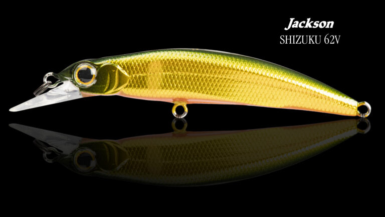 SHIZUKU 62V