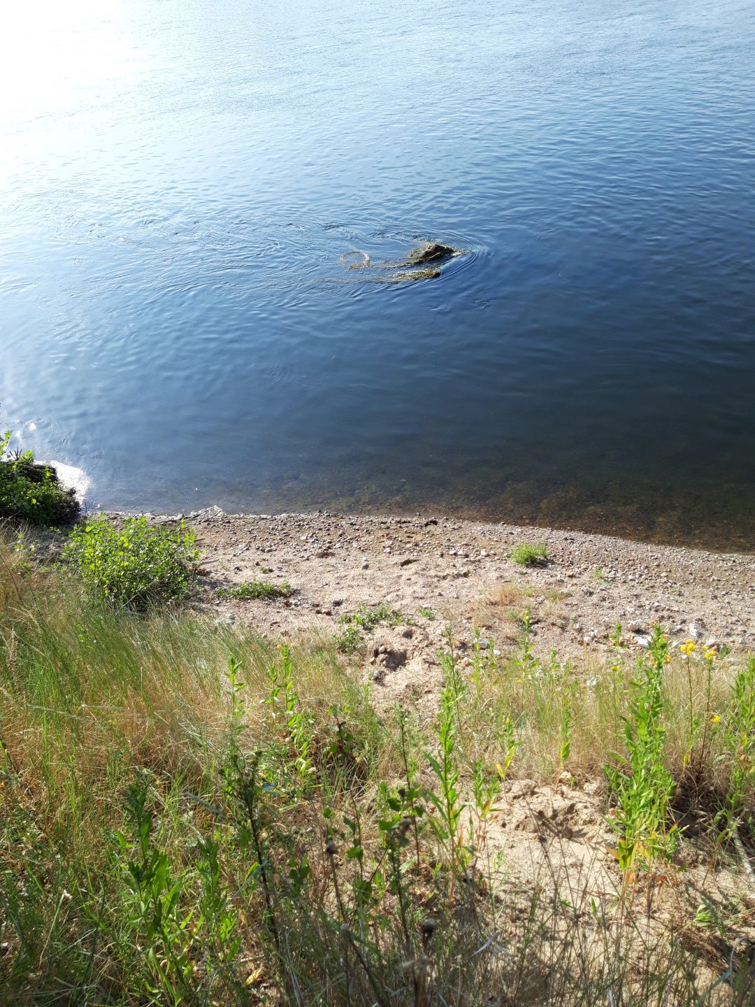 20190702_190530
