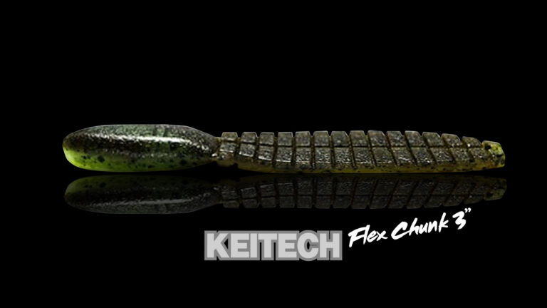 FLEX CHUNK