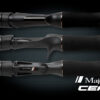 CEANA Casting – Image 2