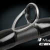 CEANA Casting – Image 3