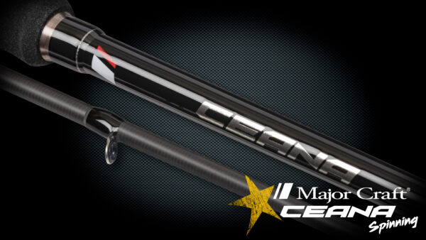 CEANA – Image 3