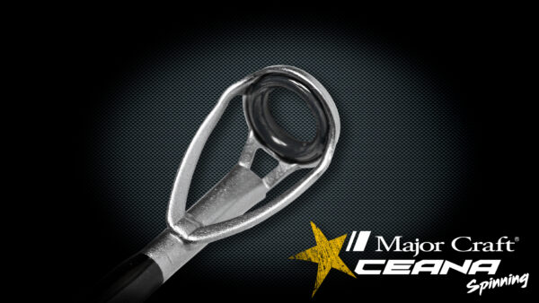 CEANA – Image 5