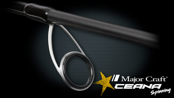 CEANA – Image 4