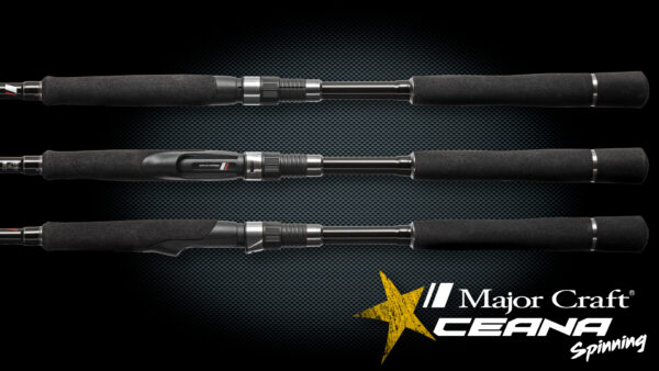 CEANA – Image 2
