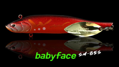 Babyface Détails SM85-S 1