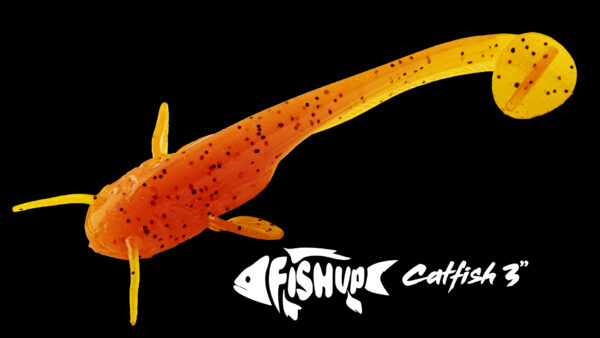 CATFISH – Image 3