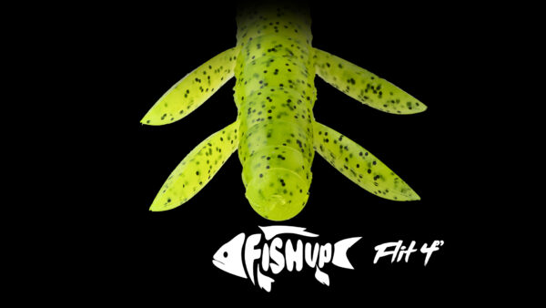 FLIT – Image 7