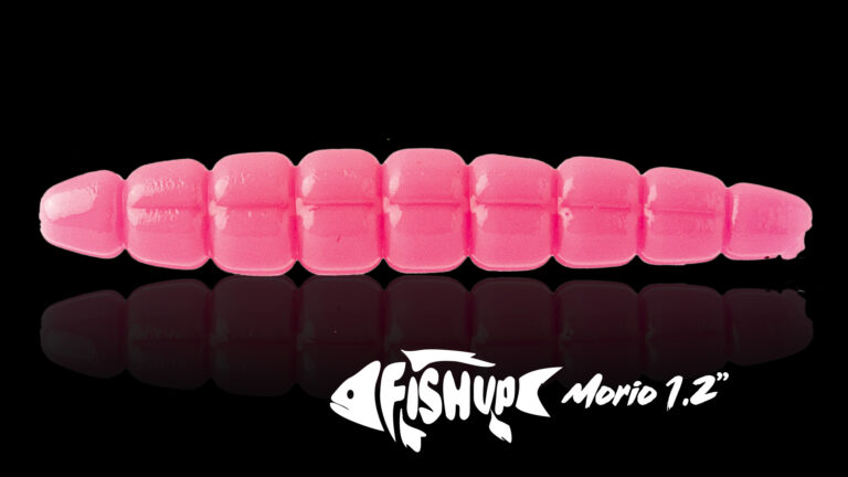 MORIO TROUT SERIE