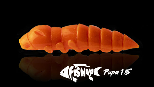PUPA TROUT SERIE