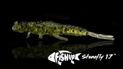 Fishup DÇtail Stonefly 1